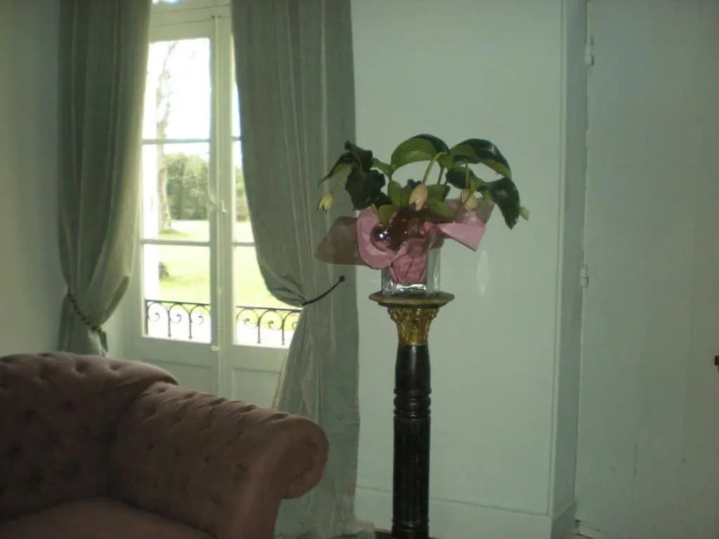 Manoir Larcouillet - Photo 2