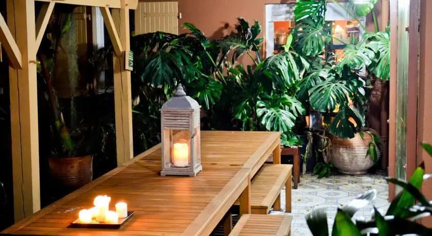 Appartements Le Clos des Bambous - Miniature 7