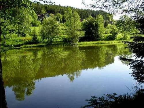 Domaine de la Vigotte - Chalets - Photo 3