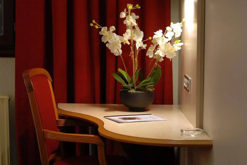 Sud Hôtel - Photo 2