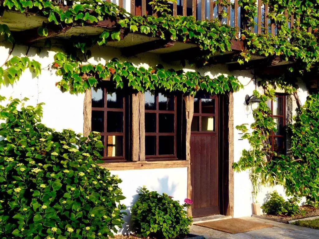 La Maison Tamarin - Photo 1