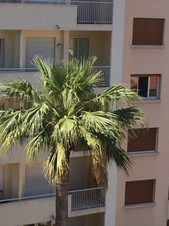 Studio Haut de Gamme - Centre Ville - Photo 1
