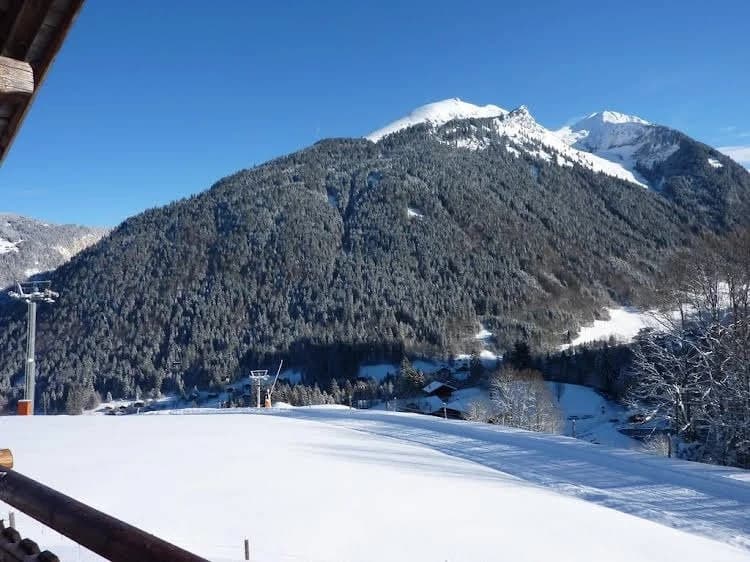 Chalet les Fys - Photo 2