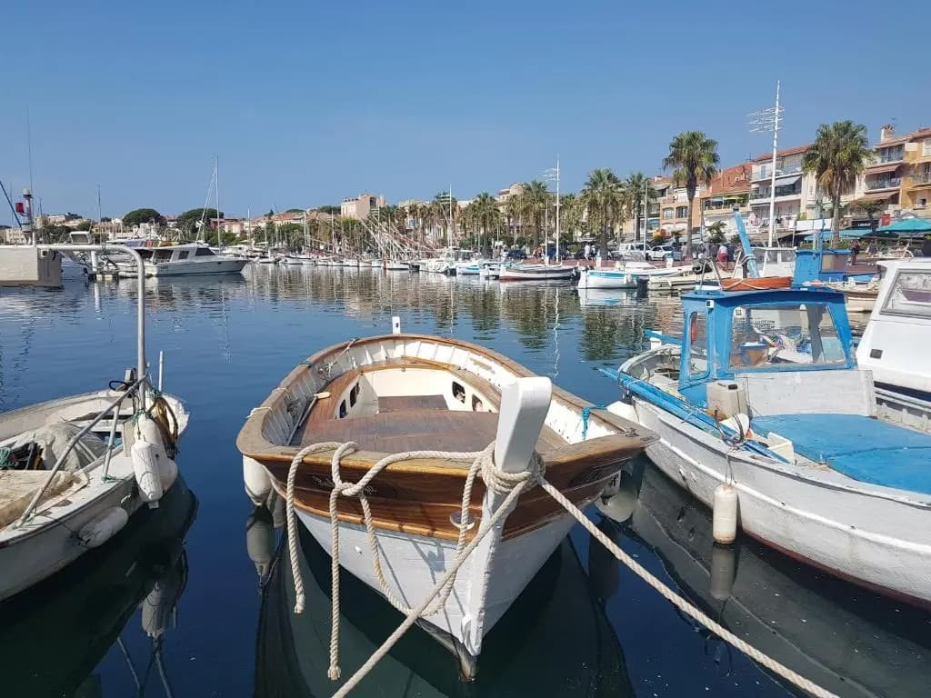 Bandol Danton - Photo 3