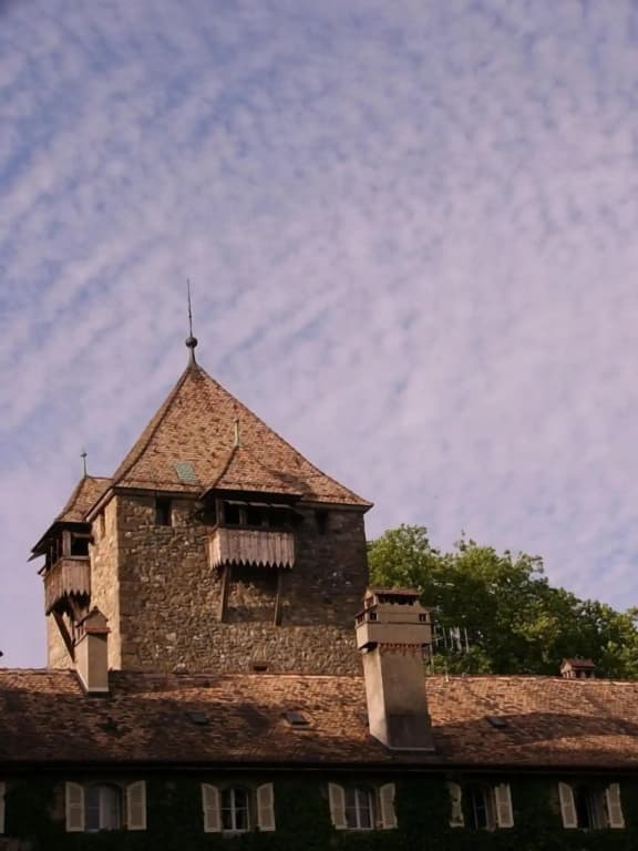 Château de Coudrée - Photo 1