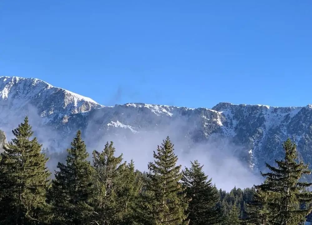 Family Escape in the Alps - Miniature 6