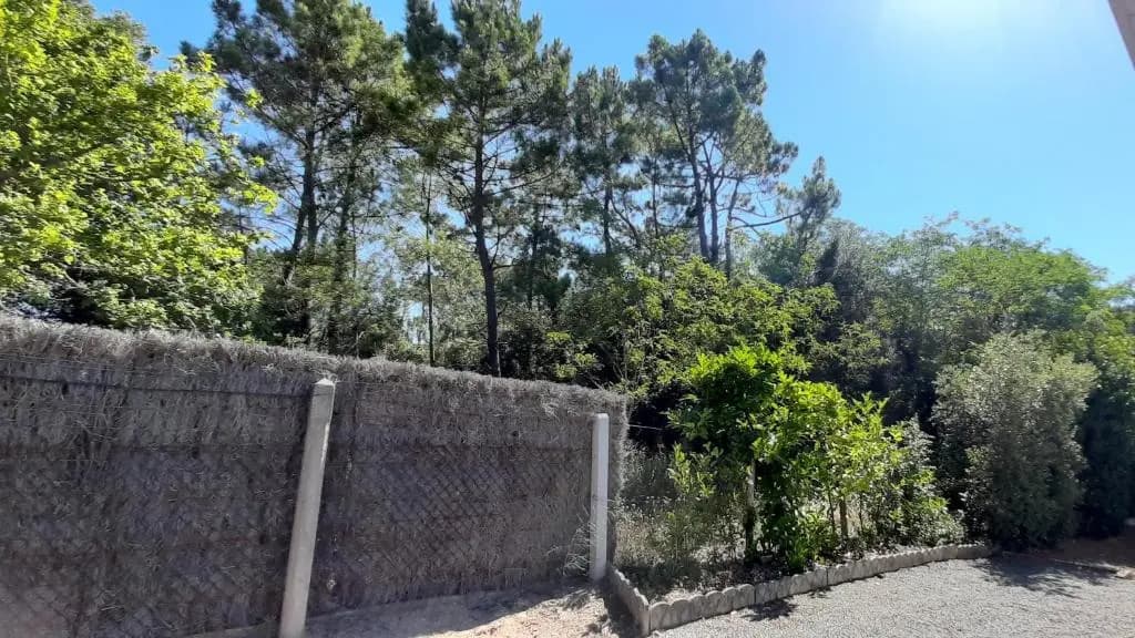 La Forêt des Rossignols - maison 4 à 6 personnes - Photo 2