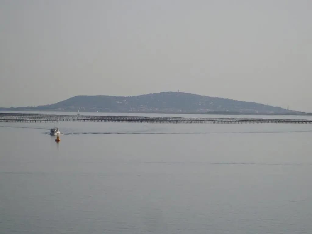 Port rive gauche Iona - Photo 4