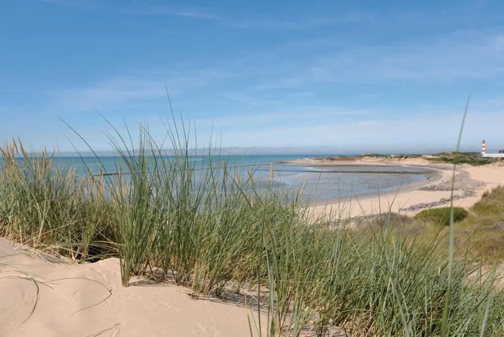 Studio Au Coeur de la Baie - Photo 3