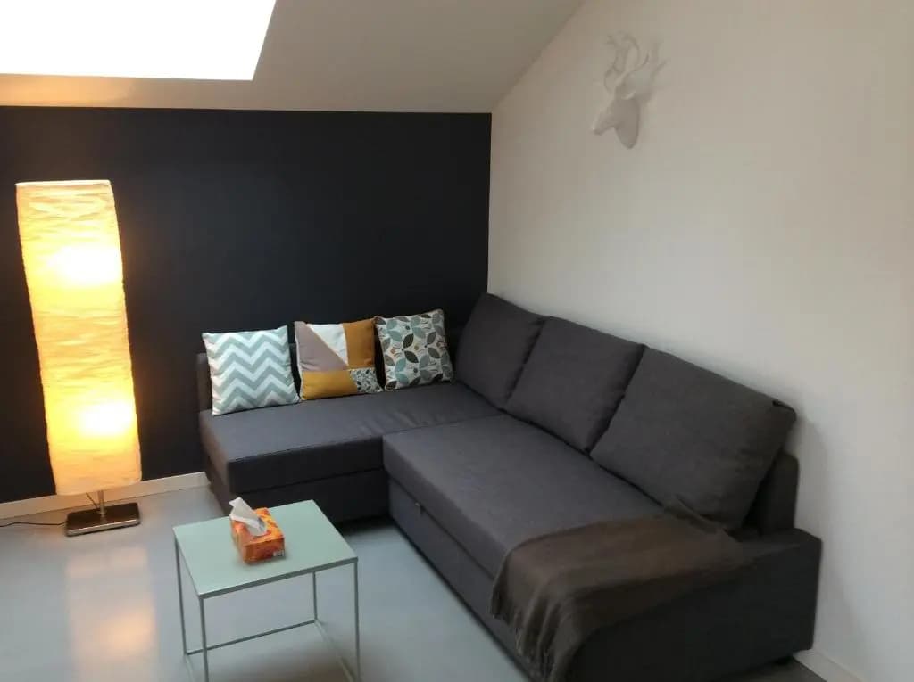 Studio Lac et Tournette - Photo 2