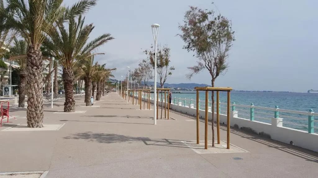 Sea Front Apartment Cannes - Photo 4