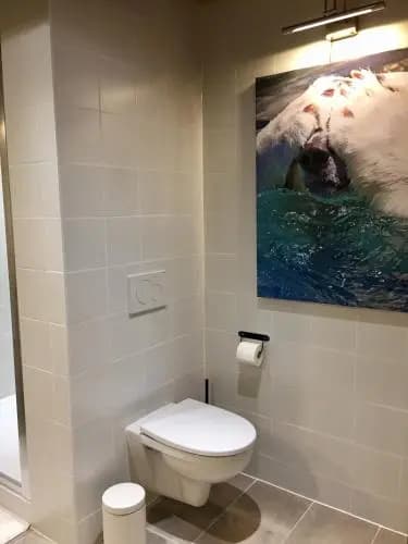 L'ours Blanc Lodge (Adults Only) - Miniature 6