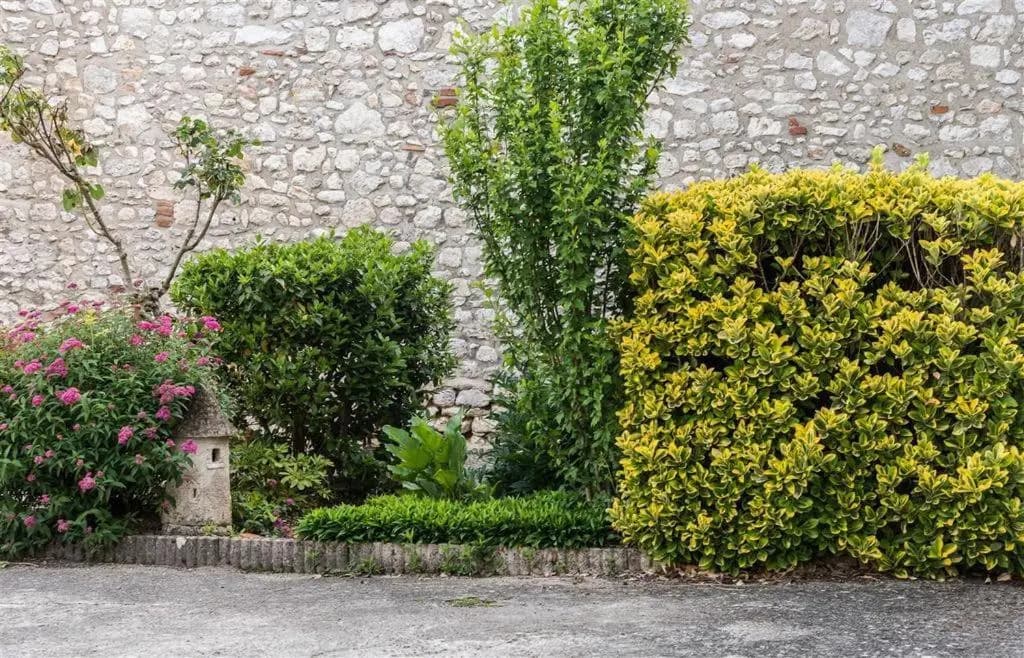 Auberge Le Cygne de La Croix Blanche - Photo 3