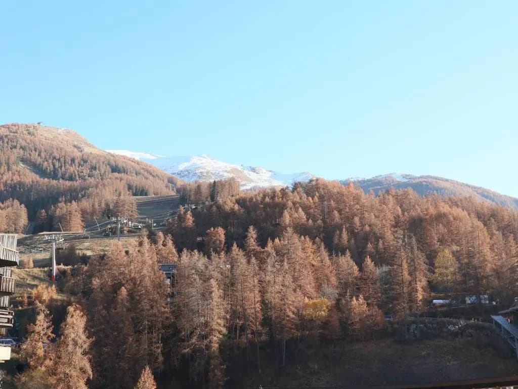 Appartement Les Orres, 1 pièce, 4 personnes - FR-1-322-386 - Photo 3