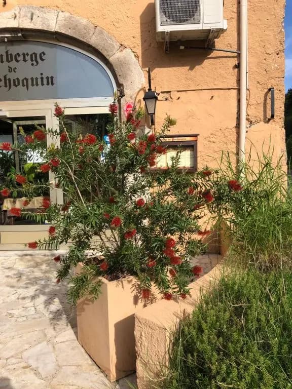 auberge de pachoquin - Photo 1