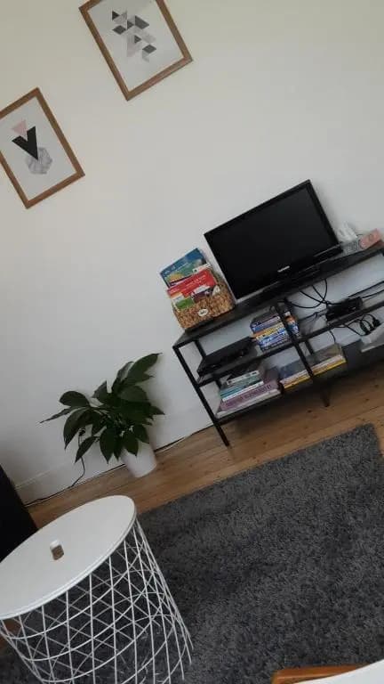 Le Vicus - Photo 4