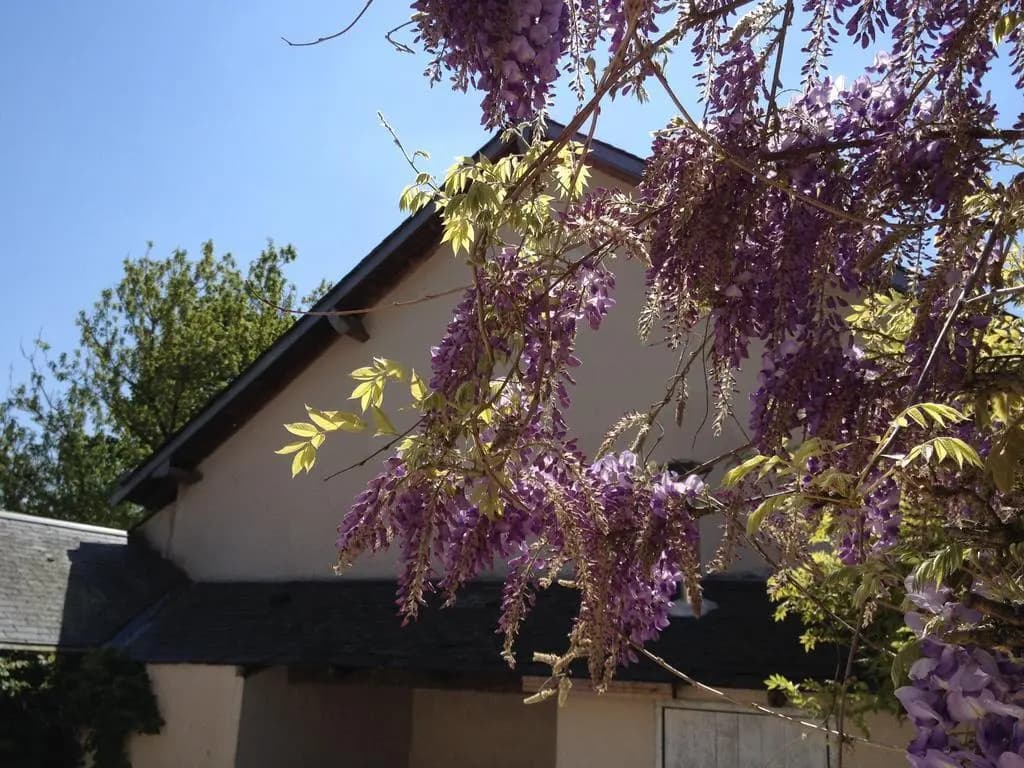 La Marelle - Photo 1