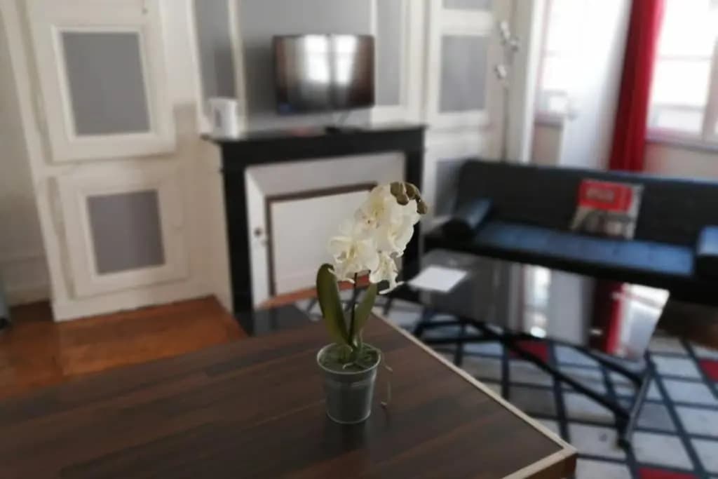 STUDIO 21 cosy dans le centre de LIMOGES - Miniature 7
