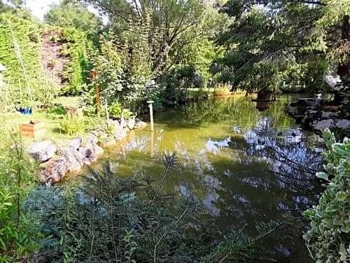 La mare aux canards - Photo 1