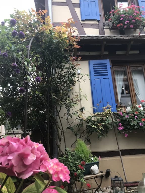 Le Jardin de l'Ill - Photo 1