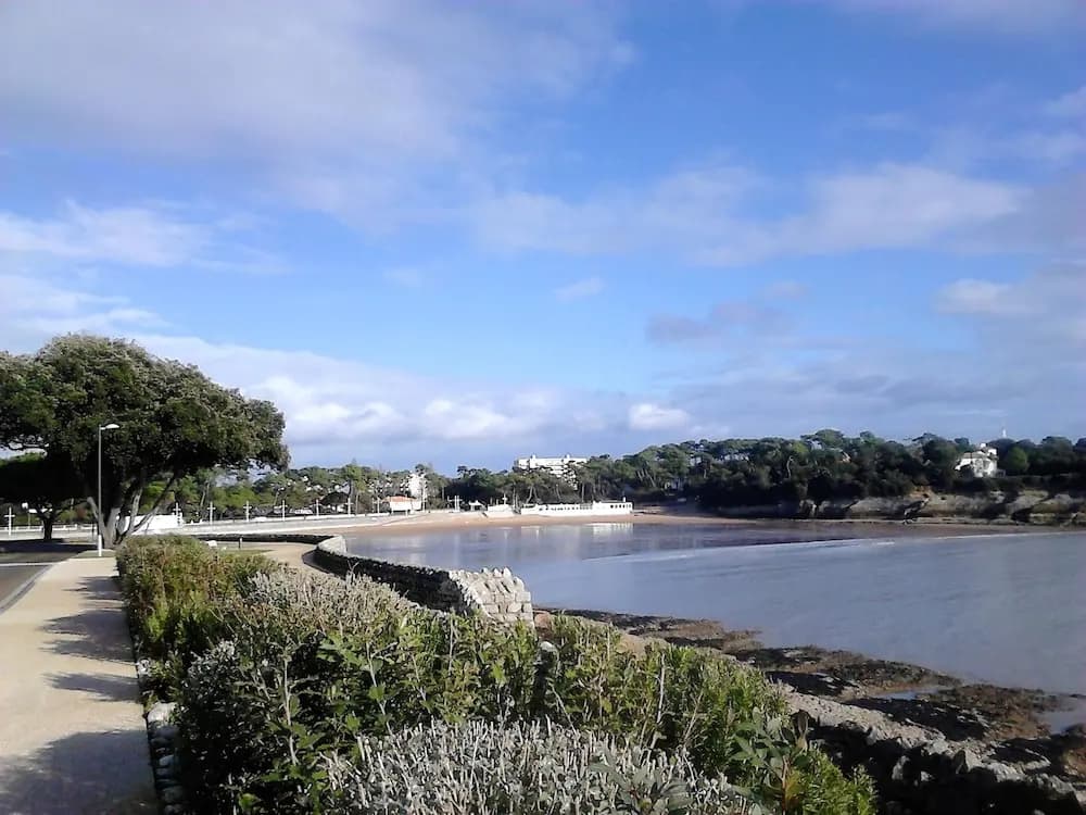 Apartment With 2 Bedrooms in Vaux-sur-mer, With Furnished Terrace and - Miniature 8