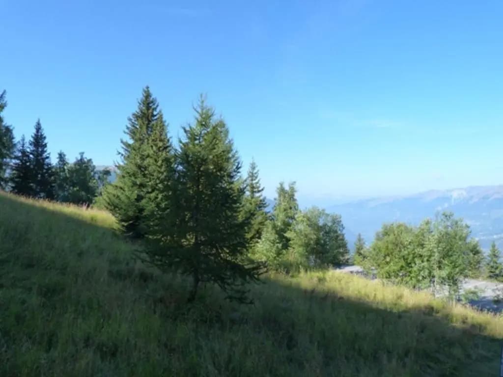 Appartement Les Arcs 1800, 1 pièce, 4 personnes - FR-1-411-627 - Photo 2