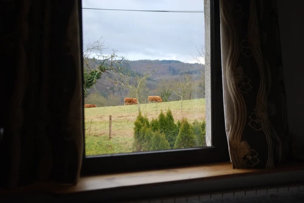 Le Ranch des Lacs, Hôtel Restaurant à Augne - Miniature 7