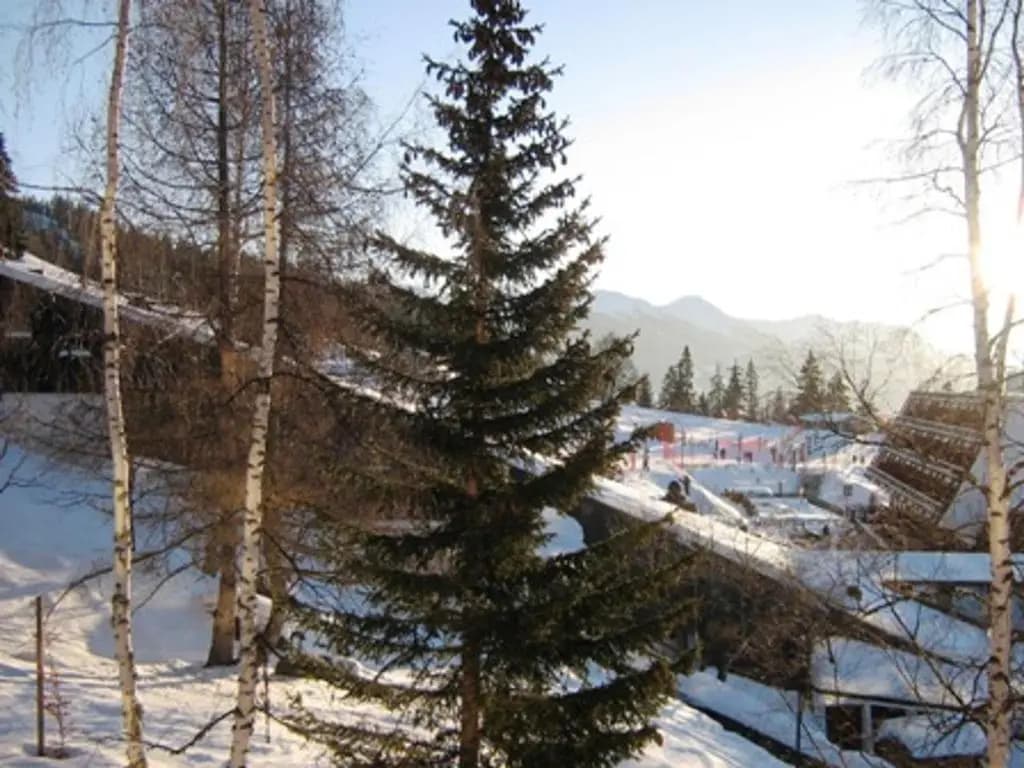 Appartement Les Arcs 1600, 1 pièce, 4 personnes - FR-1-411-454 - Photo 5