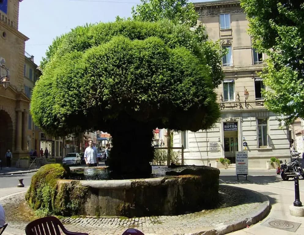 Salon-de-provence Villa Stay - Miniature 6