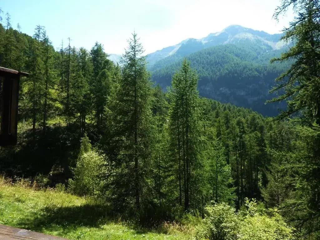 Appartement Les Orres, 1 pièce, 4 personnes - FR-1-322-326 - Photo 4