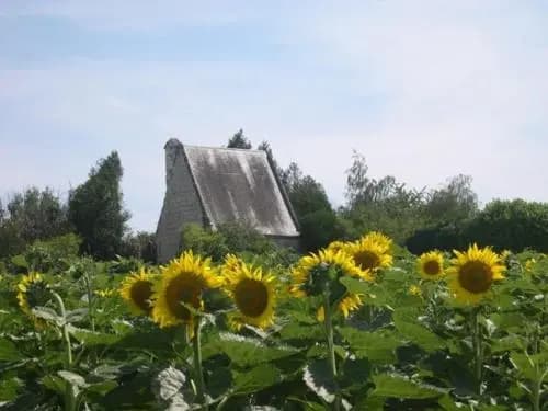 Domaine de la chapelle - Ch d'hote - Photo 3
