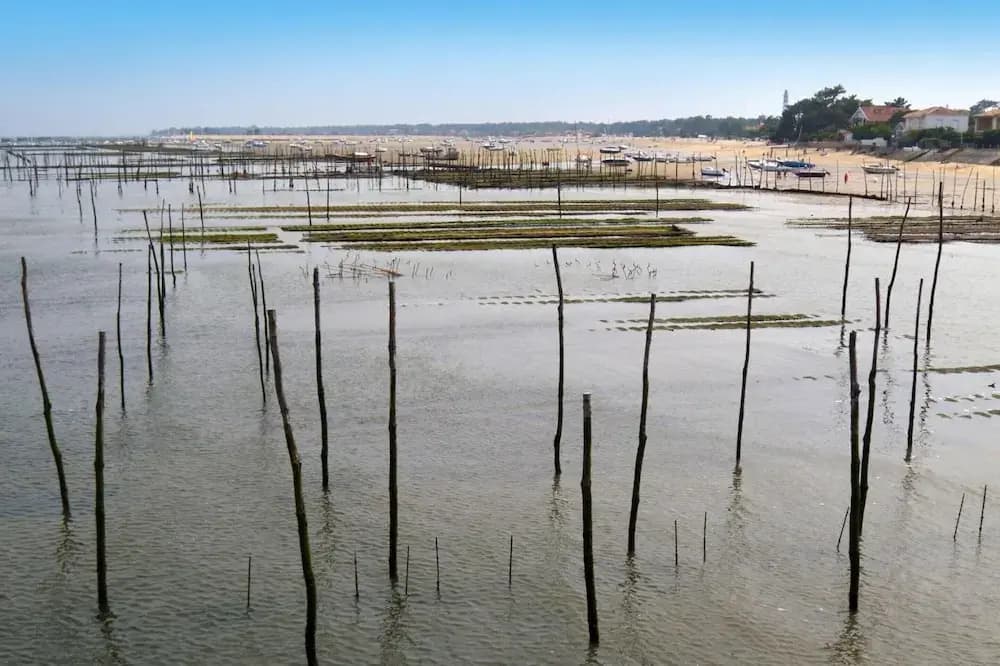 Heritage Mansion on Arcachon Bay - Photo 2