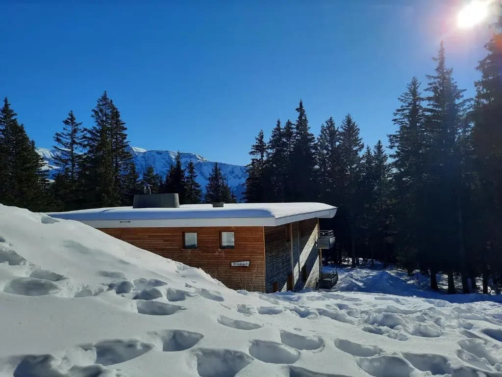La Petite Foret Chamrousse 1700 - Photo 4