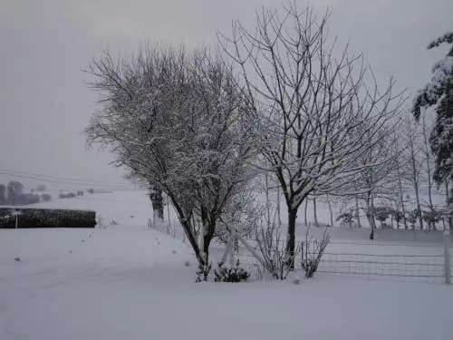 La Demeure - Photo 4