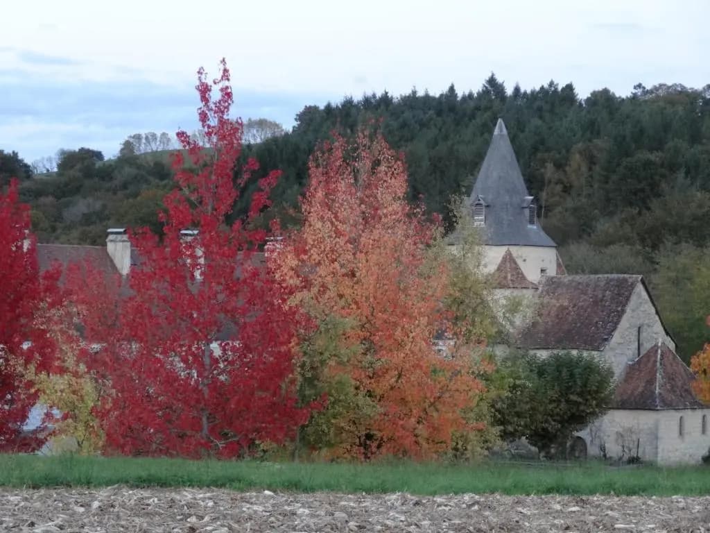 Côté Cour - Photo 4