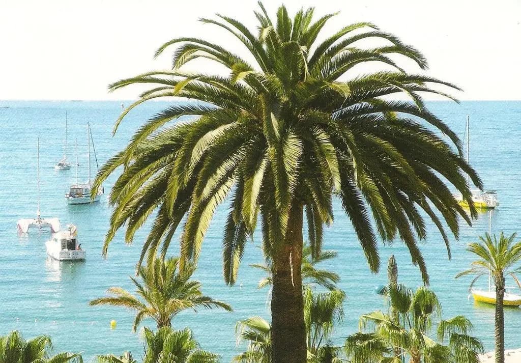 STUDIO CLIMATISE. Proche parking, commerces et mer - Miniature 7