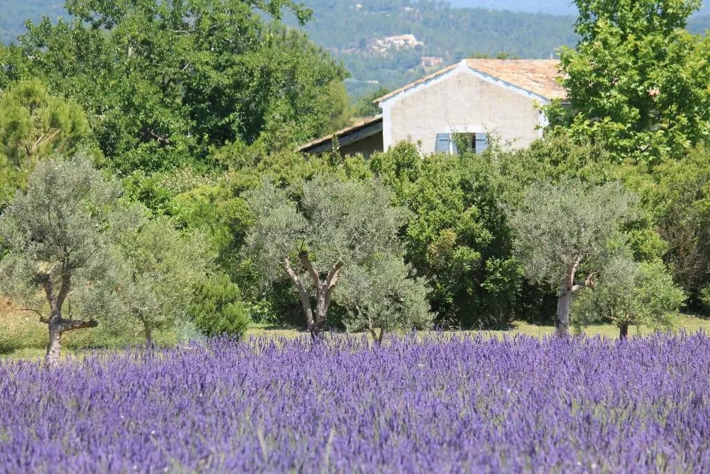 Le Clos Les Eydins - Photo 2