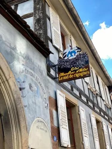 Nid de cigognes - Photo 1