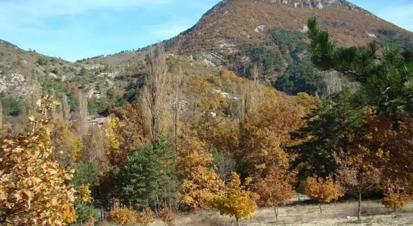 La Petite Bergerie - Photo 2