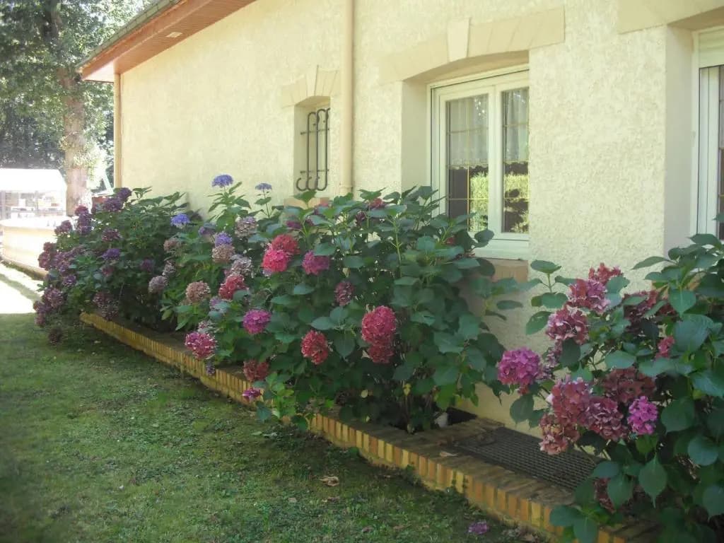 Les Chambres du Lac - Photo 3