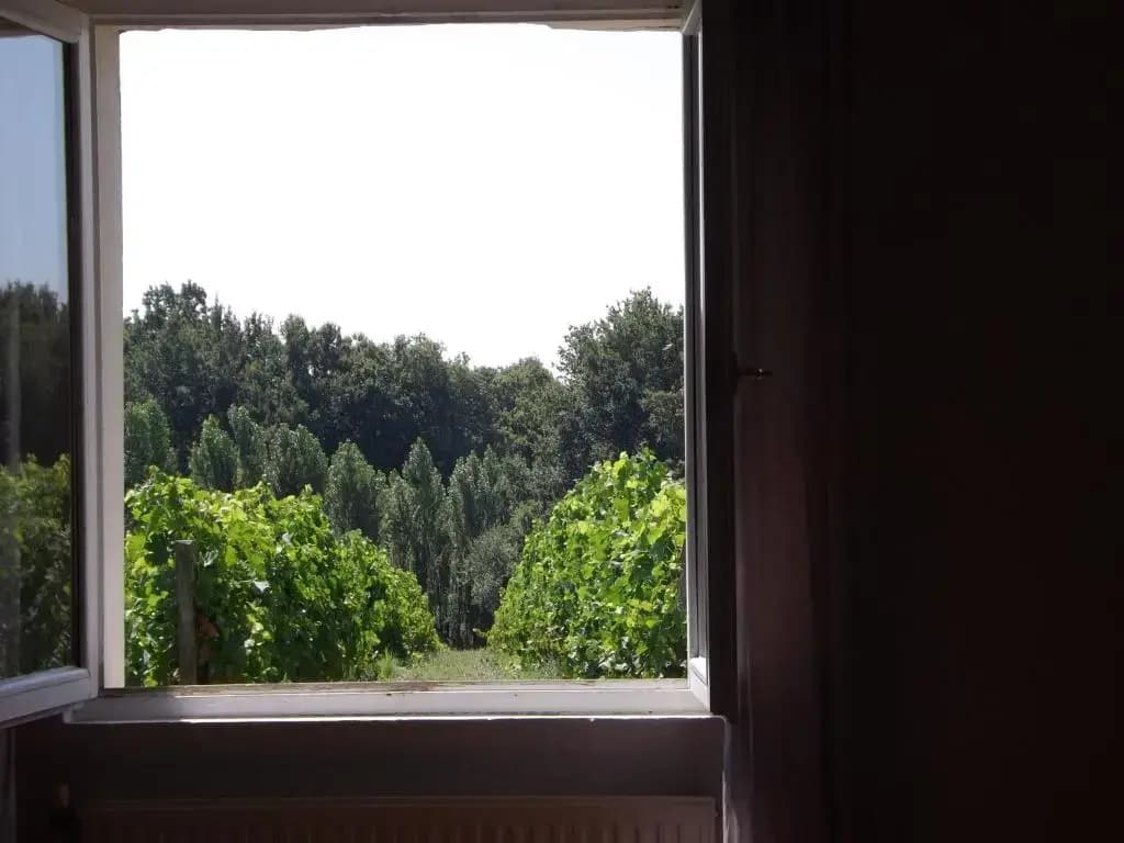 La Petite Auberge - Miniature 8