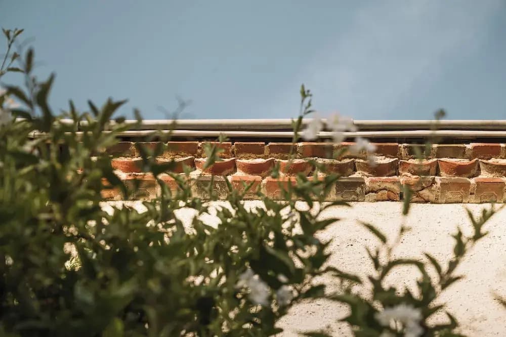 L'Annexe Singulière - Photo 1