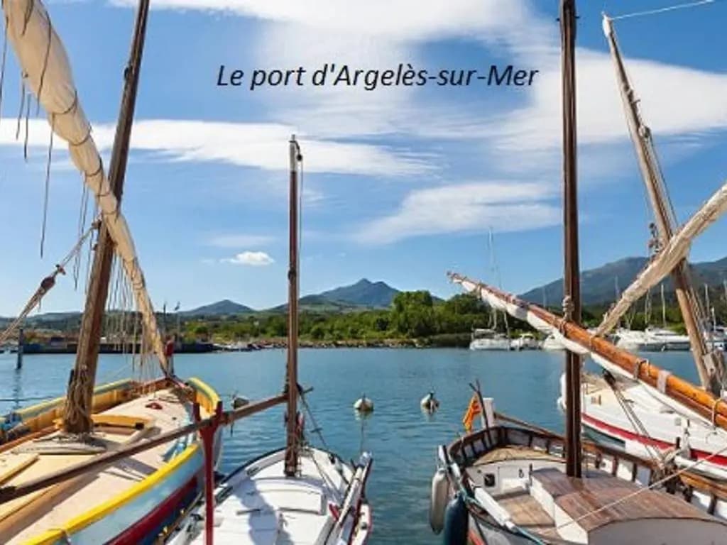 Appartement Argelès-sur-Mer, 2 pièces, 5 personnes - FR-1-225-104 - Miniature 8