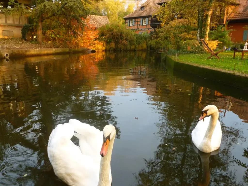 Hôtel le Moulin - Photo 1