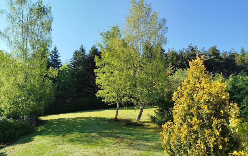Contact Hotel Le Bois Sauvage - Photo 2
