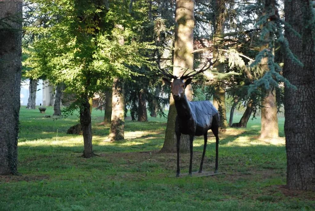 Le Talluy - Photo 2