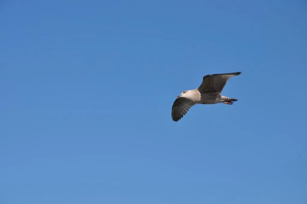 Carpe Diem 76 - Photo 1