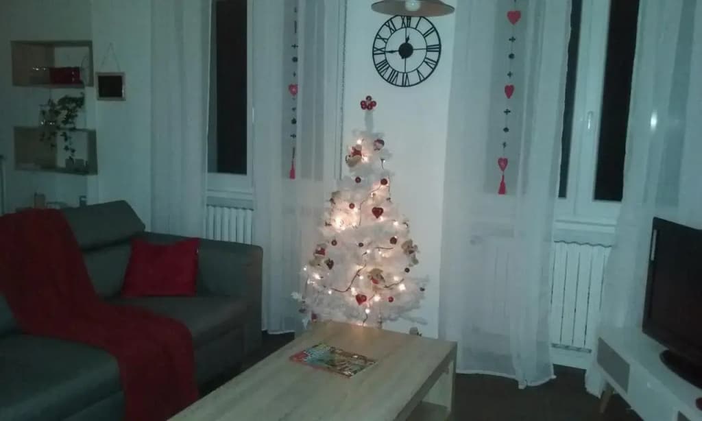 Les coeurs de Cachemire - Photo 5