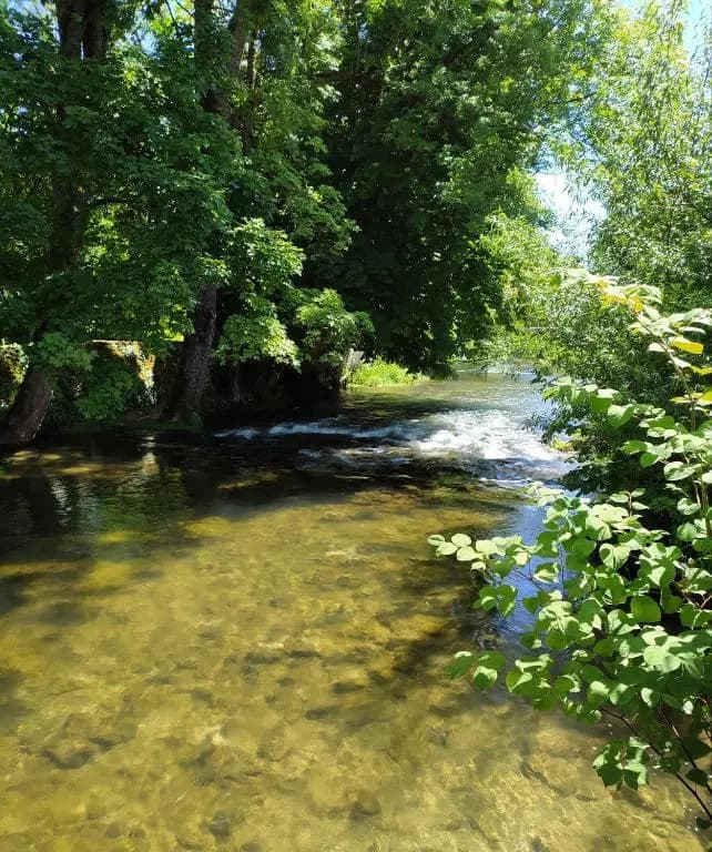 L'orée des 3 Rivières - Miniature 8