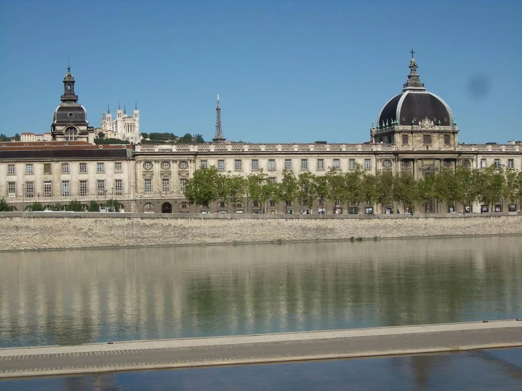 Appartement Lyon Villeurbanne - Enjoy in Lyon - Photo 1